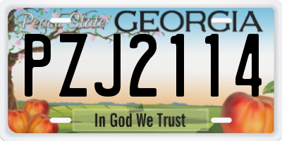 GA license plate PZJ2114