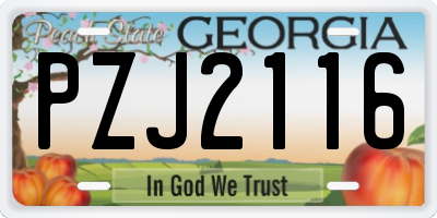 GA license plate PZJ2116
