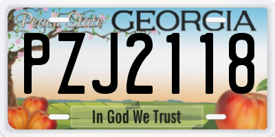 GA license plate PZJ2118