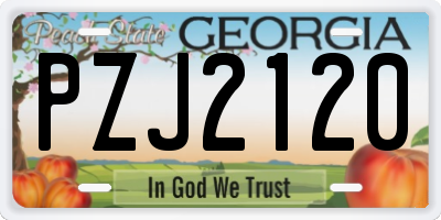 GA license plate PZJ2120