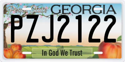 GA license plate PZJ2122