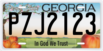 GA license plate PZJ2123