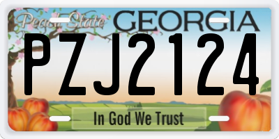 GA license plate PZJ2124