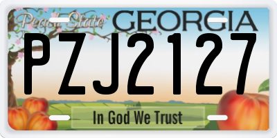 GA license plate PZJ2127