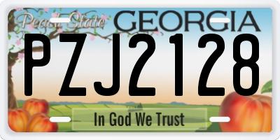 GA license plate PZJ2128