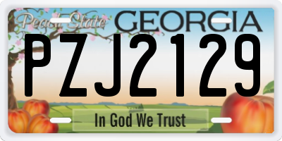 GA license plate PZJ2129