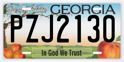 GA license plate PZJ2130
