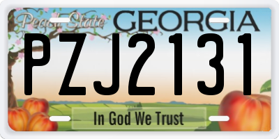 GA license plate PZJ2131