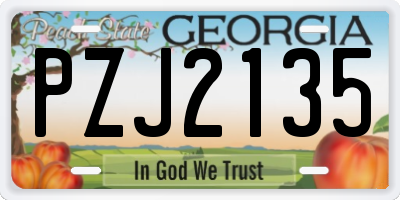 GA license plate PZJ2135