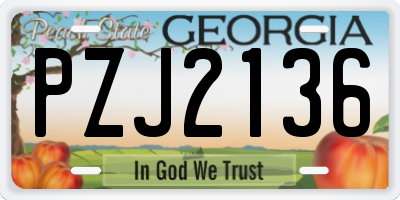 GA license plate PZJ2136