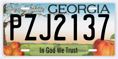 GA license plate PZJ2137