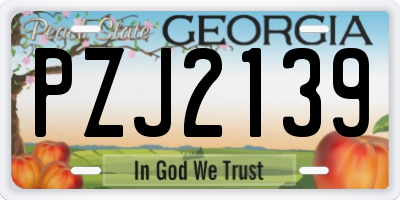 GA license plate PZJ2139