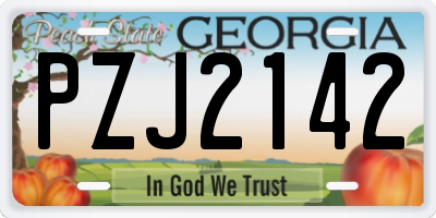 GA license plate PZJ2142