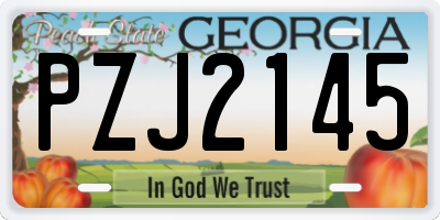 GA license plate PZJ2145