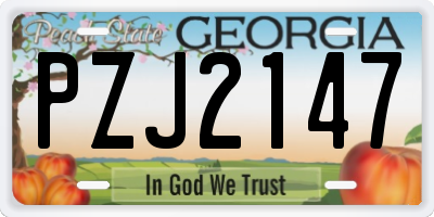 GA license plate PZJ2147