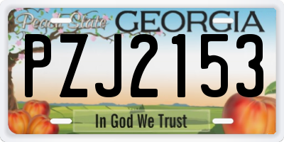 GA license plate PZJ2153