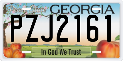 GA license plate PZJ2161