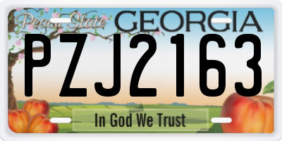 GA license plate PZJ2163