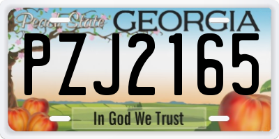 GA license plate PZJ2165