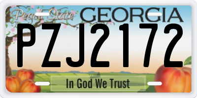 GA license plate PZJ2172