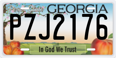 GA license plate PZJ2176
