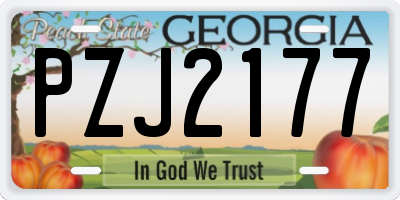 GA license plate PZJ2177