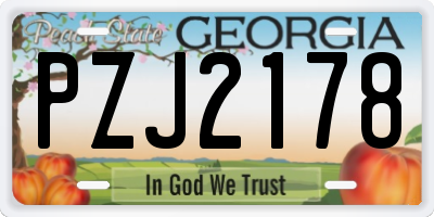 GA license plate PZJ2178