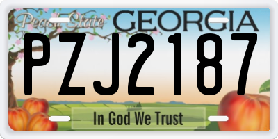 GA license plate PZJ2187