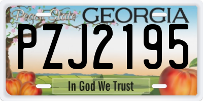 GA license plate PZJ2195