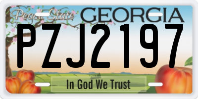 GA license plate PZJ2197