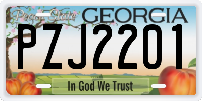 GA license plate PZJ2201
