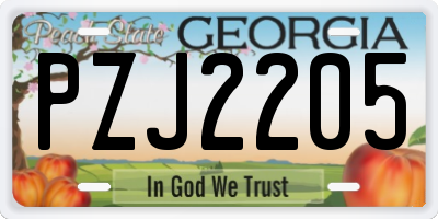 GA license plate PZJ2205