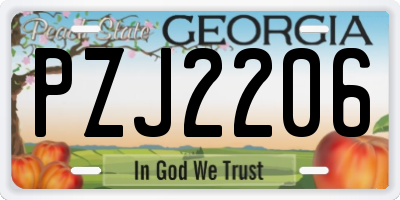 GA license plate PZJ2206