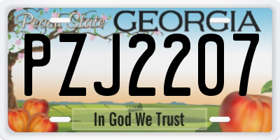 GA license plate PZJ2207