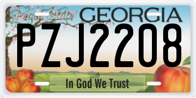 GA license plate PZJ2208