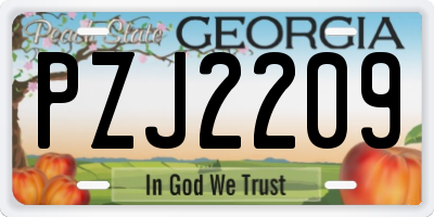 GA license plate PZJ2209
