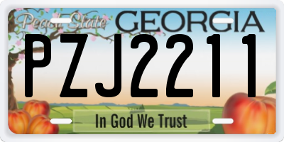 GA license plate PZJ2211