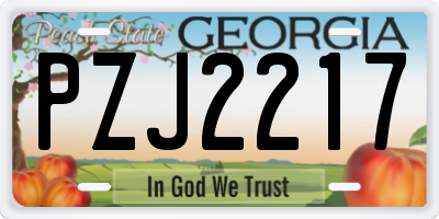 GA license plate PZJ2217