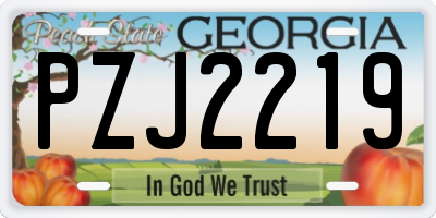 GA license plate PZJ2219