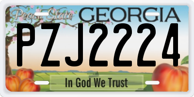 GA license plate PZJ2224
