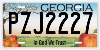 GA license plate PZJ2227
