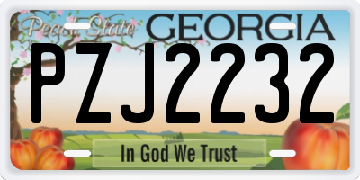 GA license plate PZJ2232