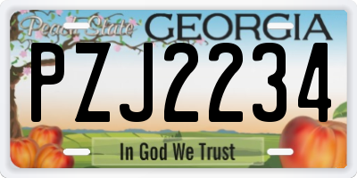GA license plate PZJ2234