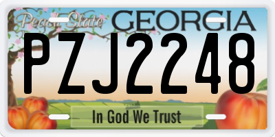 GA license plate PZJ2248