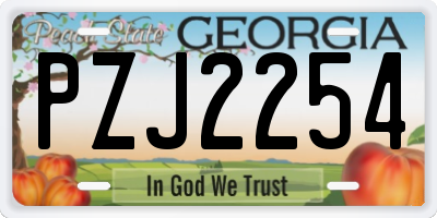 GA license plate PZJ2254