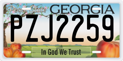 GA license plate PZJ2259