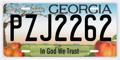 GA license plate PZJ2262
