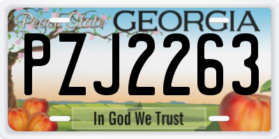 GA license plate PZJ2263