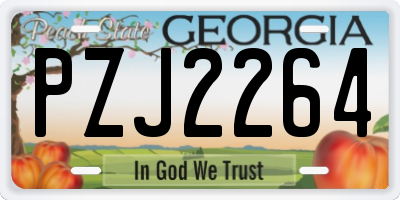 GA license plate PZJ2264