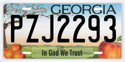 GA license plate PZJ2293